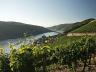 Atemberaubende Ausblicke am Rhein genießen, gemütliche Bootstour auf der Nahe, exklusive Weinprobe im Rheingau oder ein Weinbergsdinner in Rheinhessen genießen.

