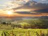 Diese Wein- und Genussreise führt uns in die unbekannte Toskana rund um den Vulkan Monte Amiata. Vom Vulkan der Toskana starten wir in fünf Weinanbaugebiete und genießen die Weine der Toskana. Ob Brunello aus dem Montalcino oder Morellino der Maremma.